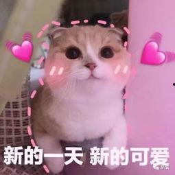 羊了羊娱乐吃瓜